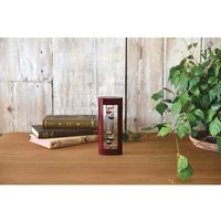 忻州市ASKUL 温度计S333-200